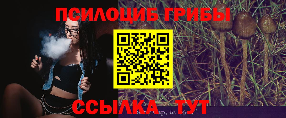 Семёнов  Псилоцибиновые грибы Cubensis  Вход с VPN 